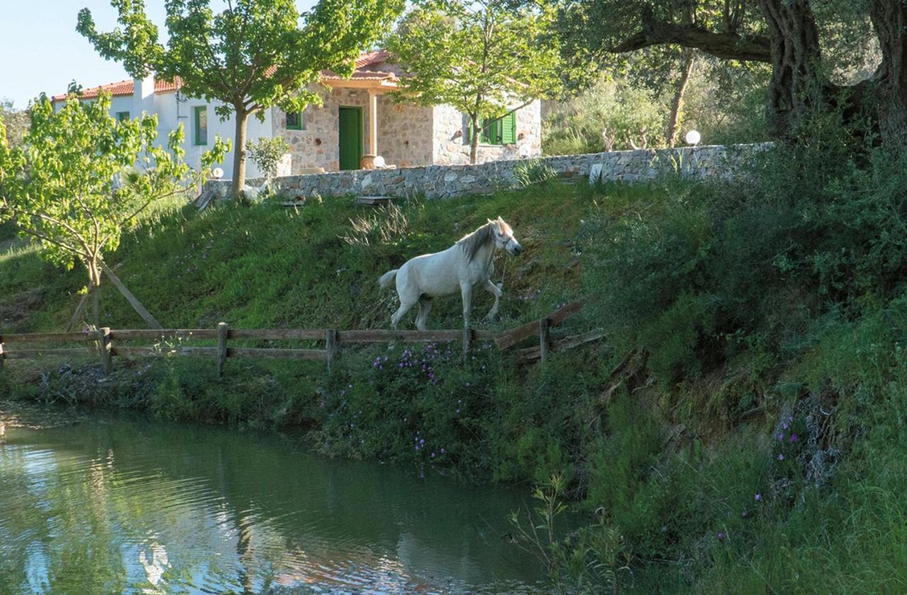 Villa Elia Lambiní Dış mekan fotoğraf