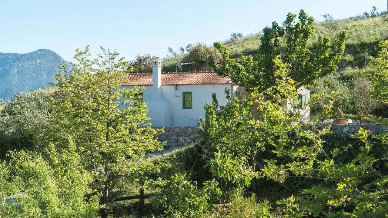 Villa Elia Lambiní Dış mekan fotoğraf